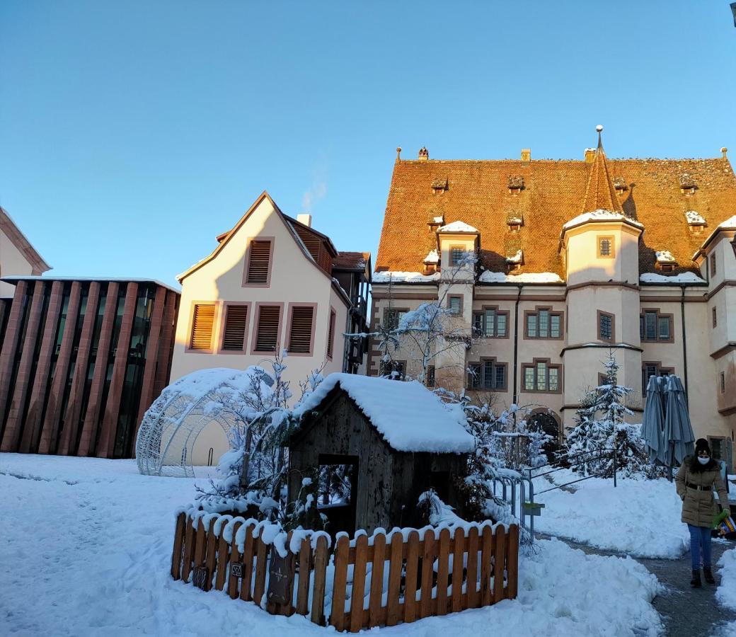 La Maison Bleue, A 20 Mn De Strasbourg, Sur La Route Des Vins, Jusqu'A 6 Personnes, 셀레스탓 외부 사진